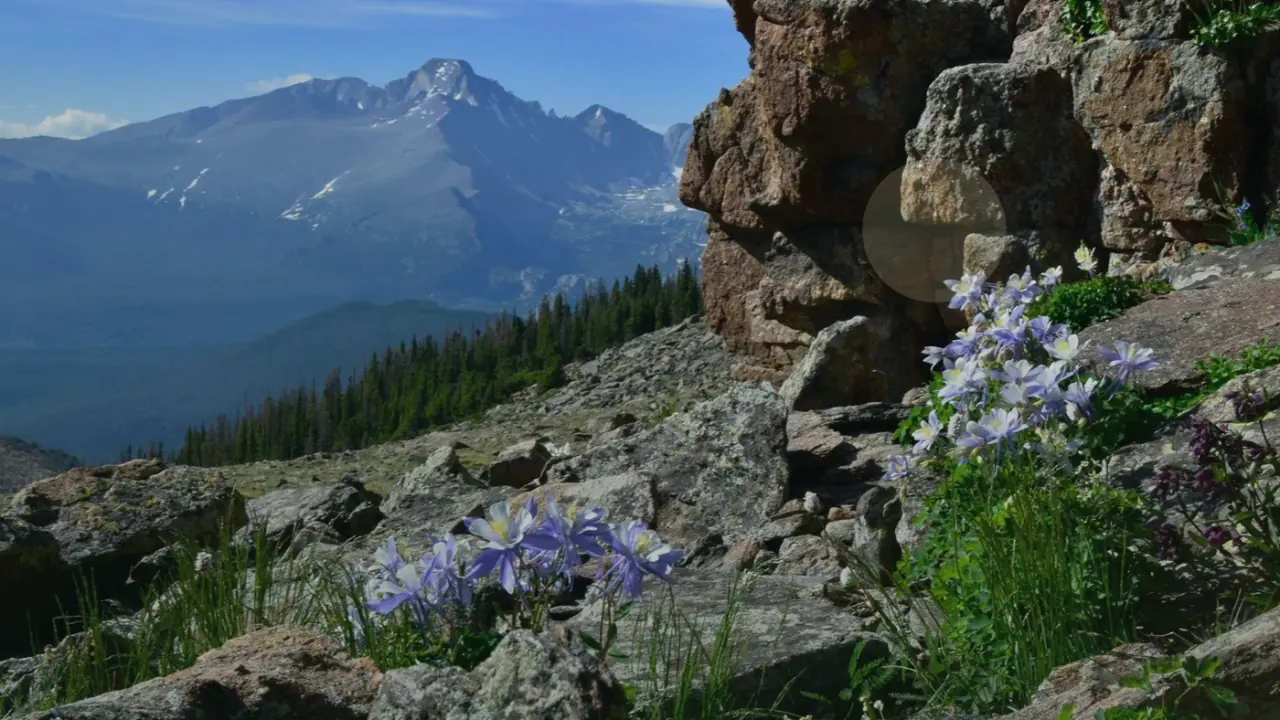How to Sell Rural Land for Cash in Colorado Colorado land guide