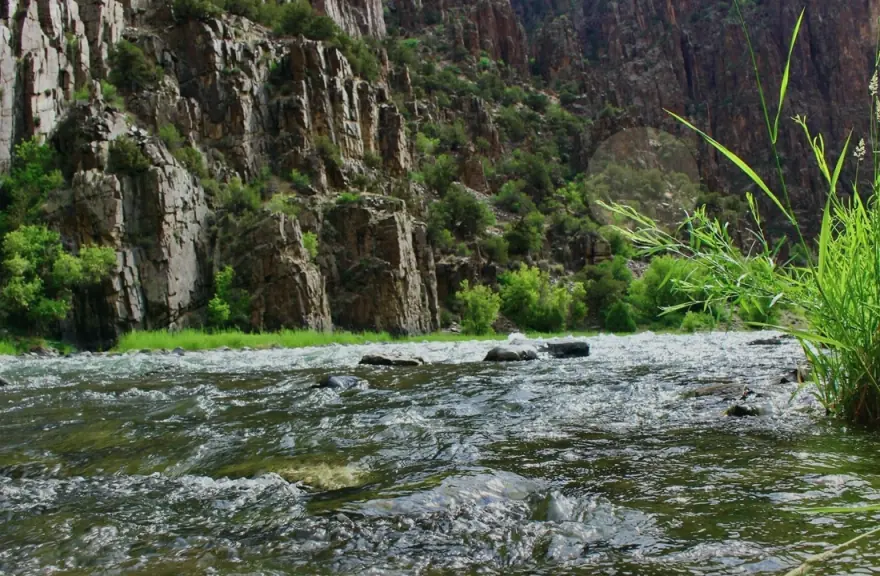 Colorado land sale options and buyer review for How to Sell Rural Land for Cash in Colorado