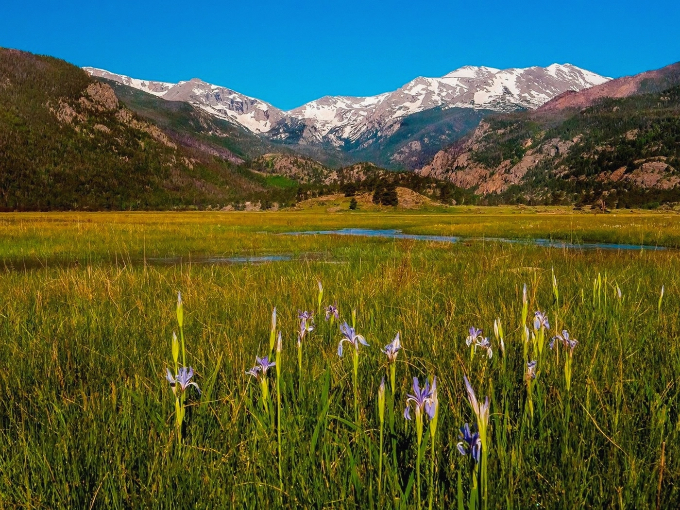 Mountain Acreage in Delta