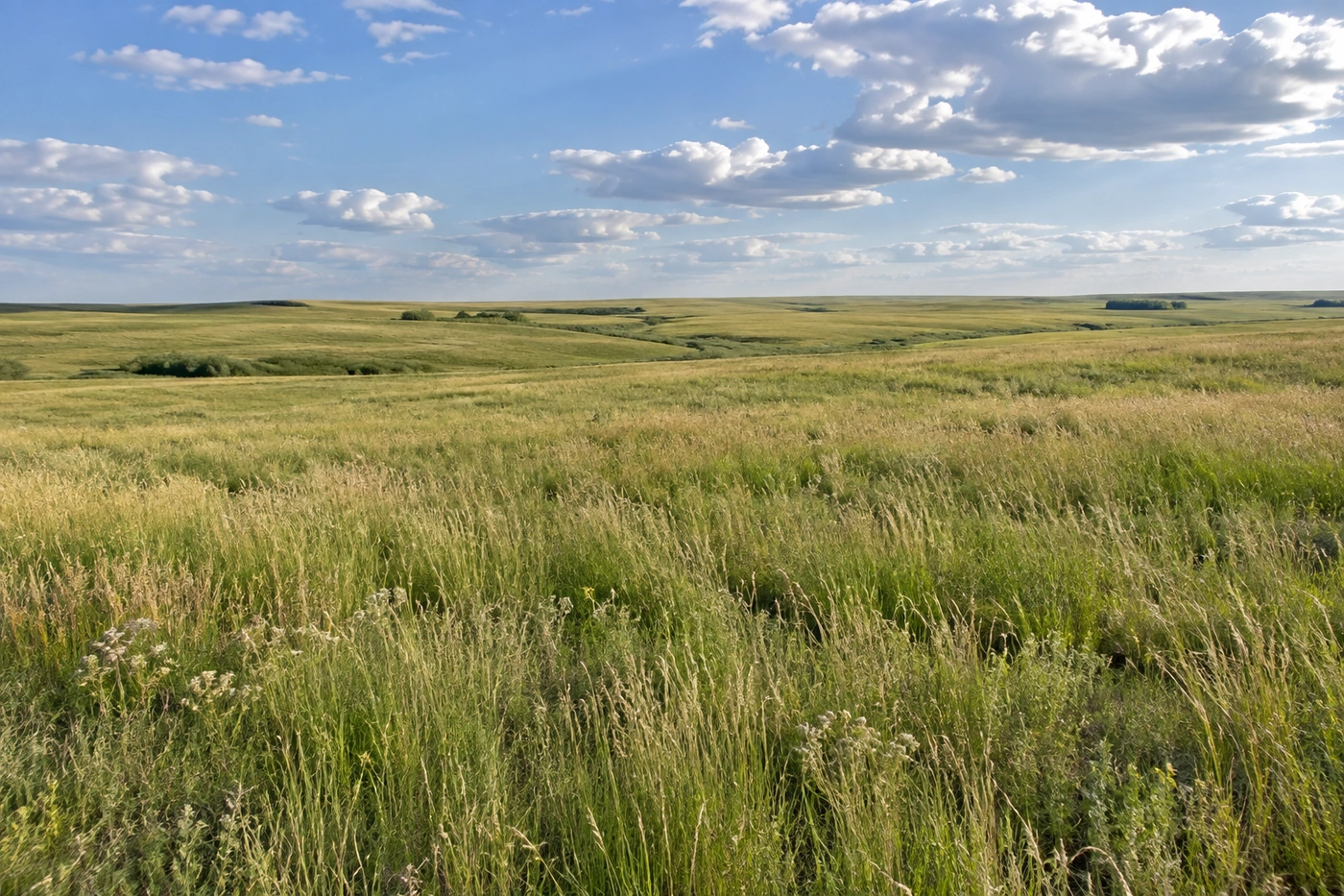 Rural Acreage - representative Colorado land